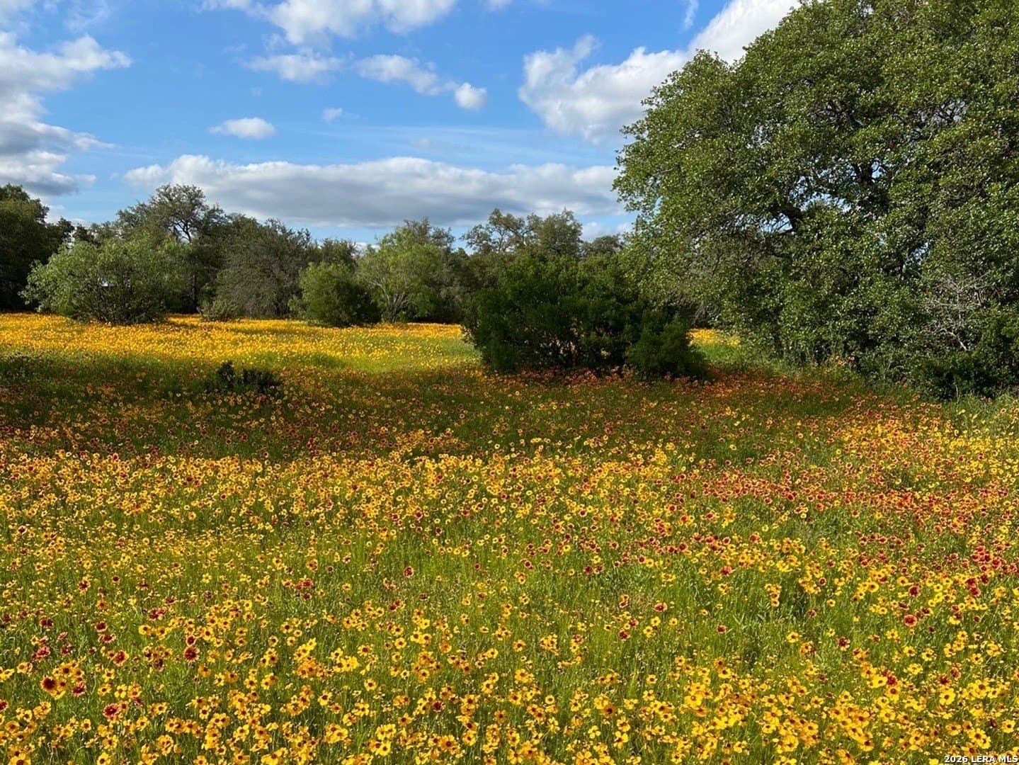 10.57 acres in Burnet County - photo 54