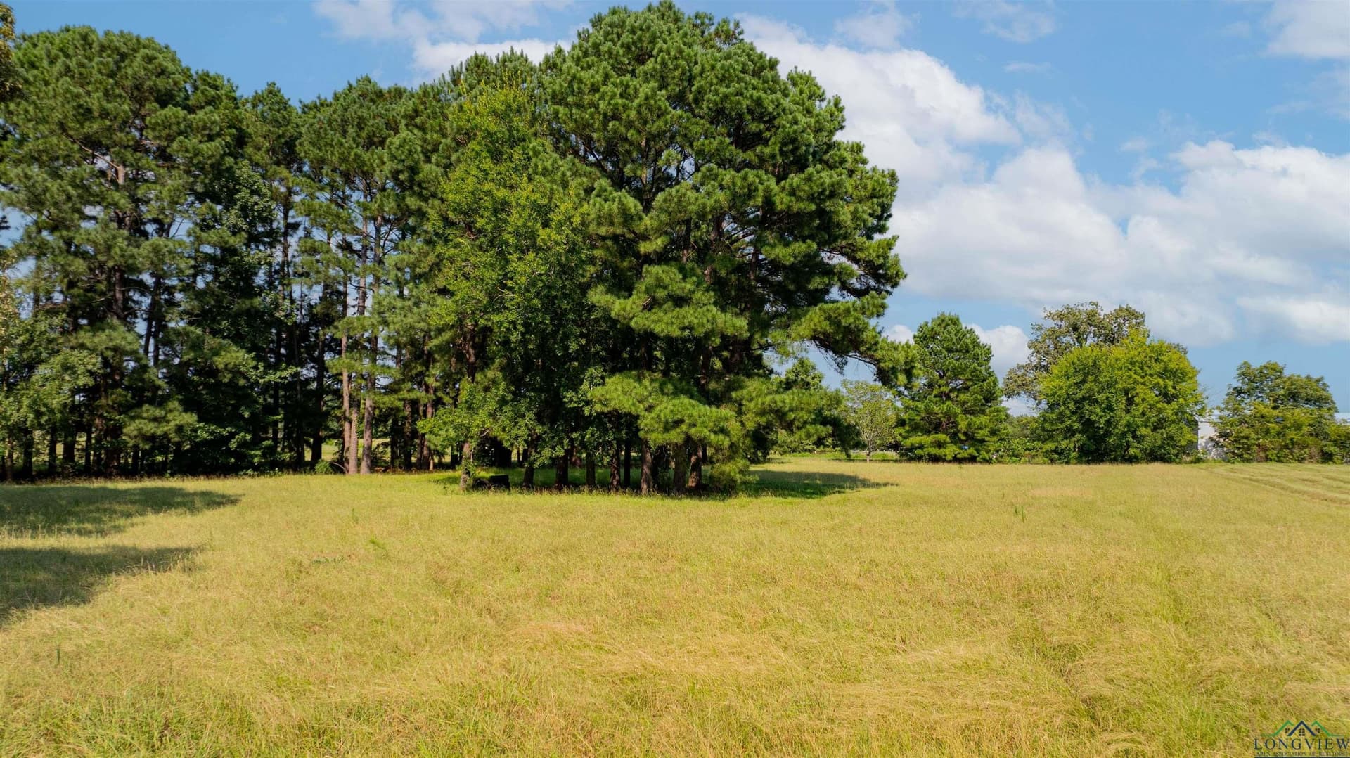 6.22 acres in Texas County - photo 13