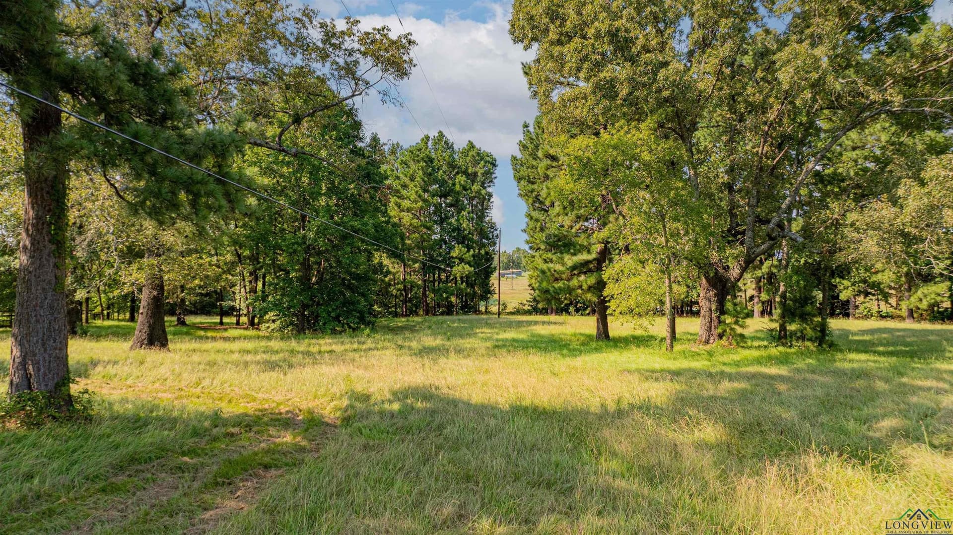 6.22 acres in Texas County - photo 12