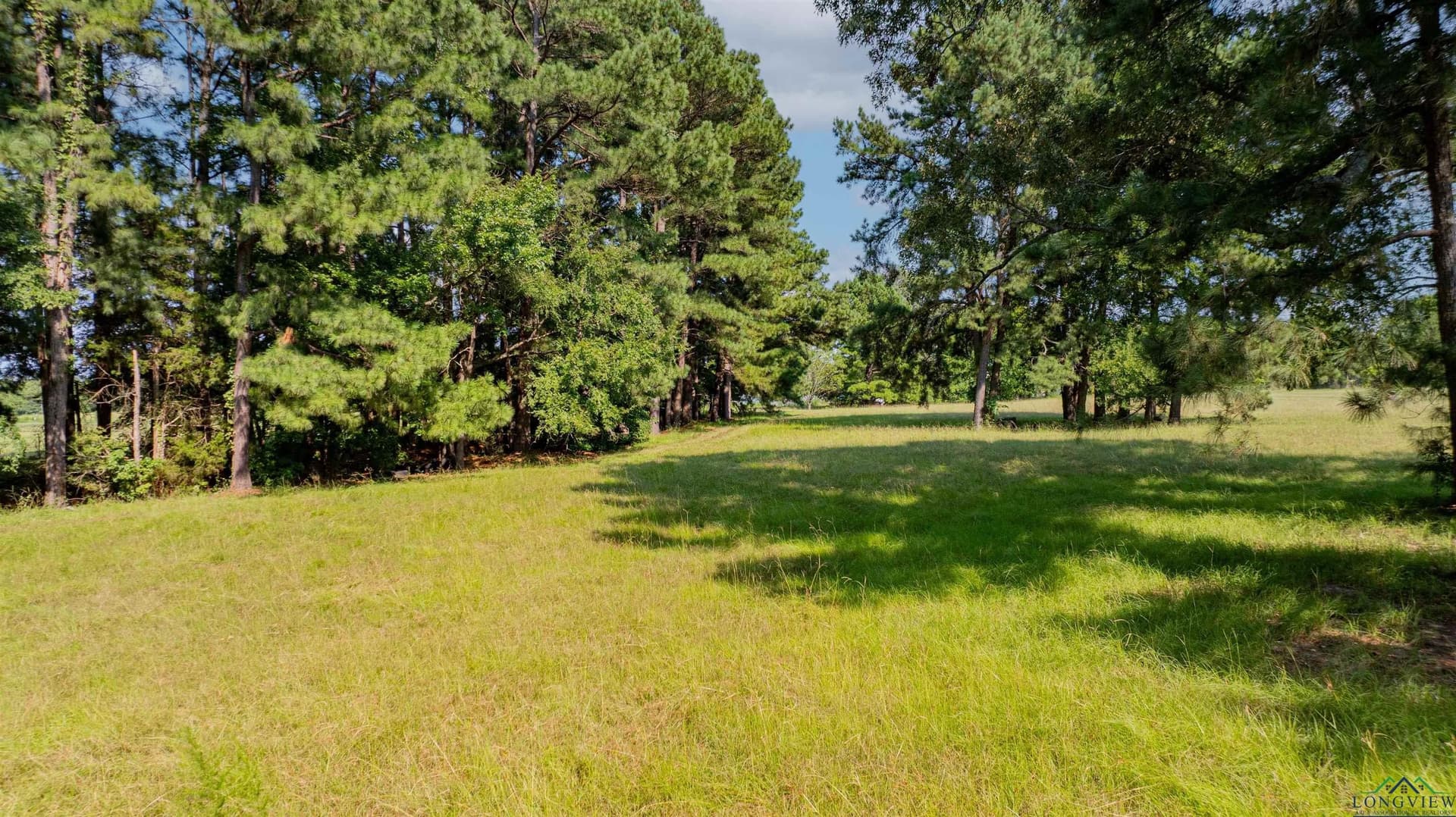 6.22 acres in Texas County - photo 11