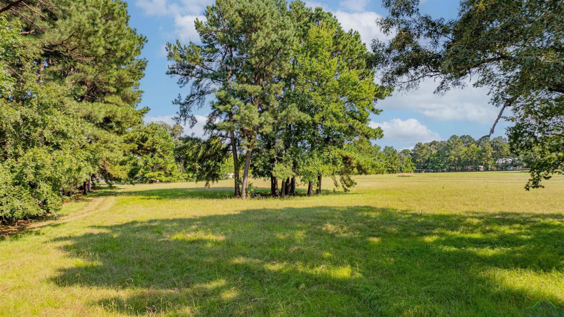 6.22 acres in Texas County - photo 10