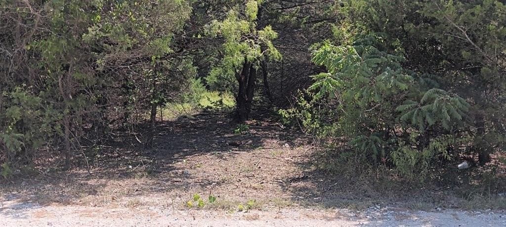 0.21 acres in Navarro County - photo 3
