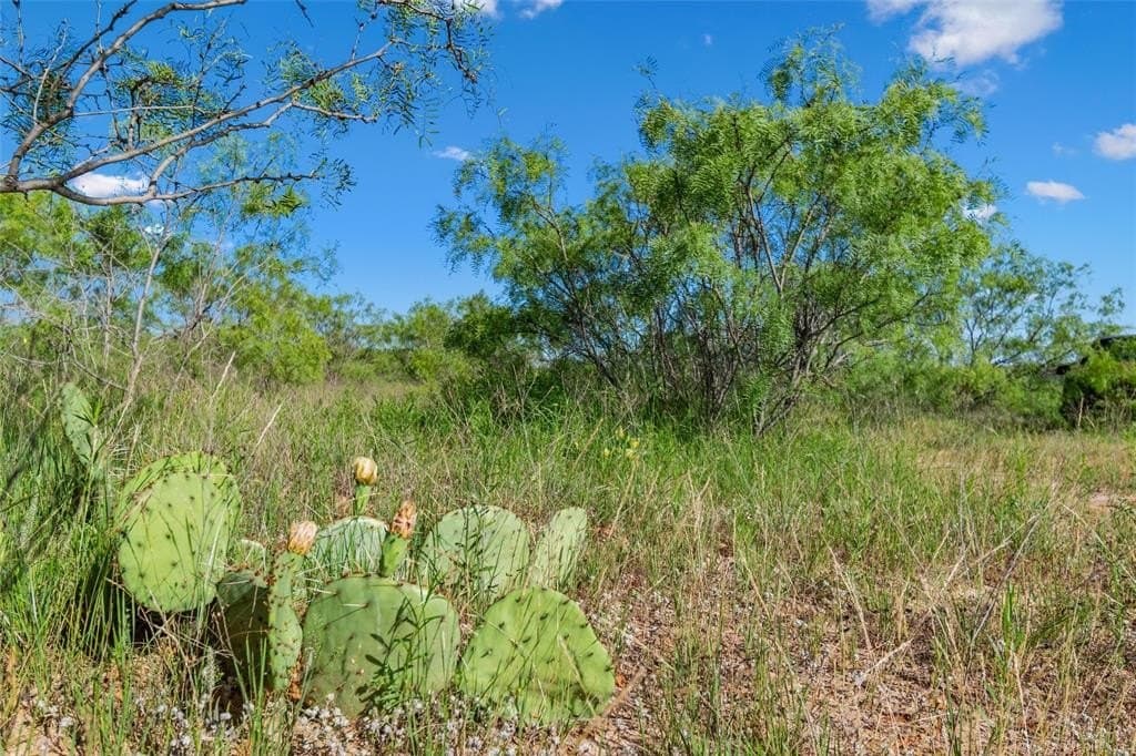 85.48 acres in Parker County - photo 36