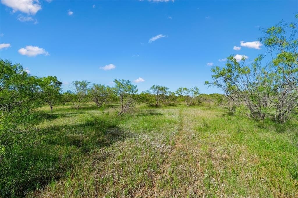 85.48 acres in Parker County - photo 34