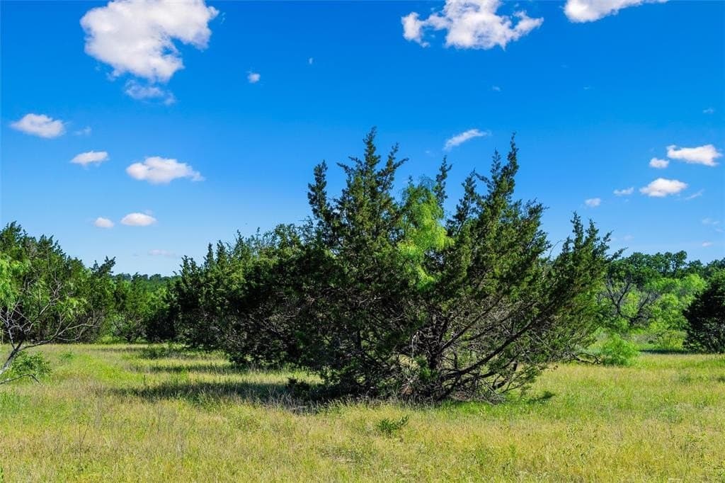 85.48 acres in Parker County - photo 32