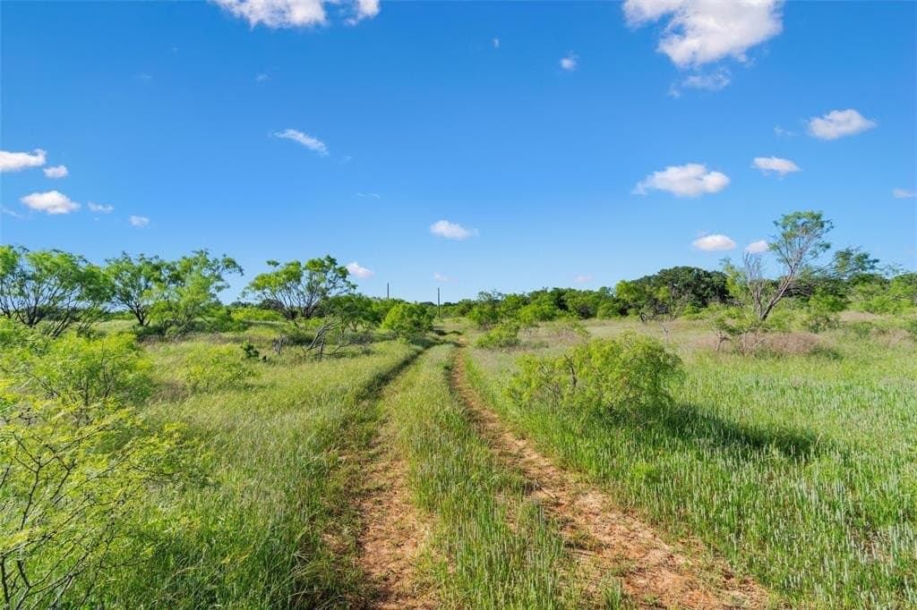 85.48 acres in Parker County - photo 33