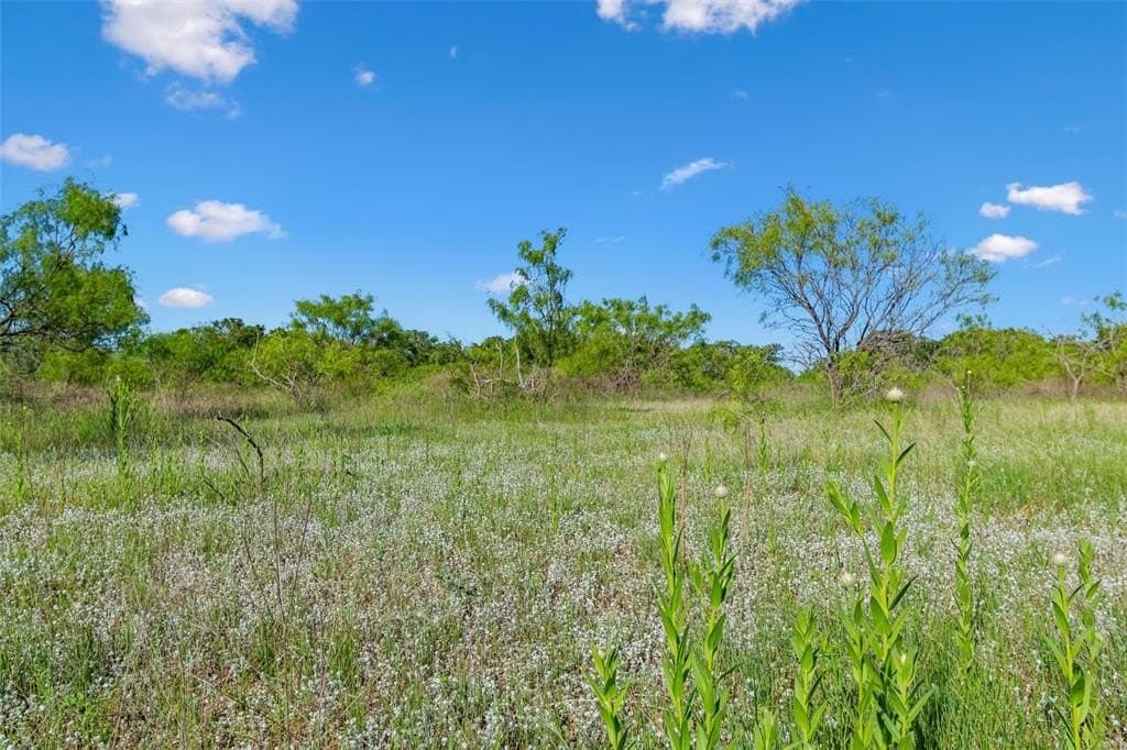 85.48 acres in Parker County - photo 35