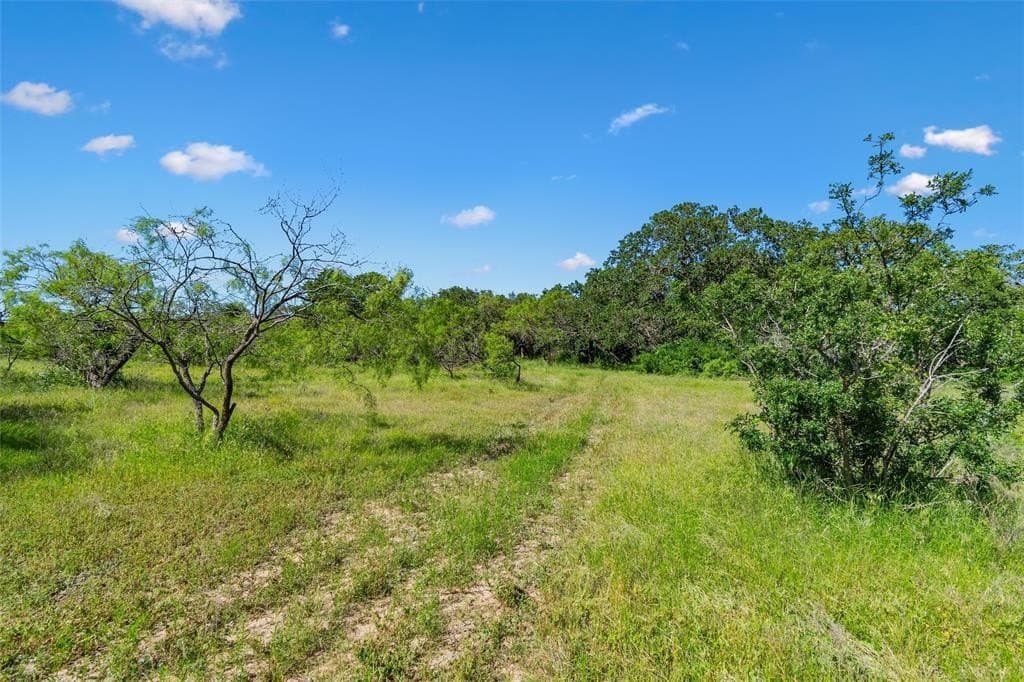 85.48 acres in Parker County - photo 22