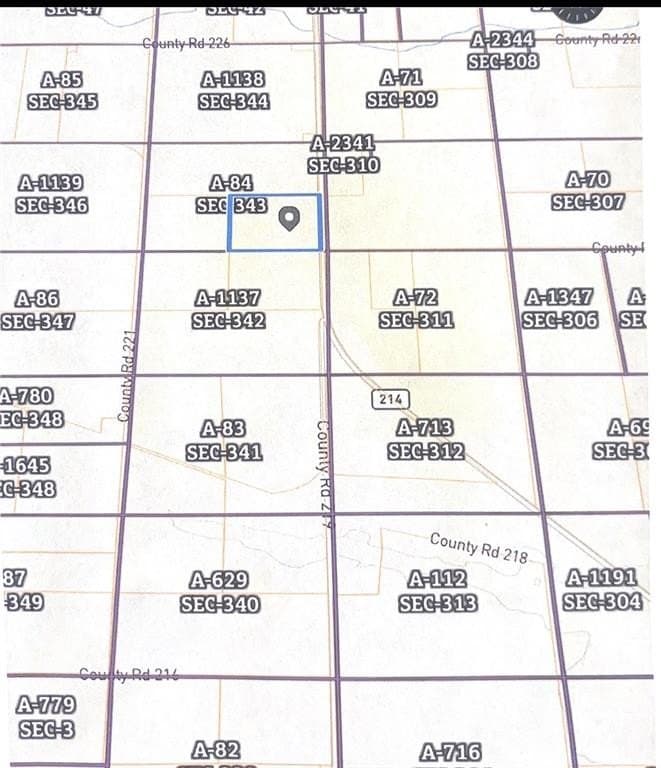 160 acres in Gaines County - photo 3