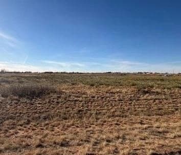160 acres in Gaines County - photo 4