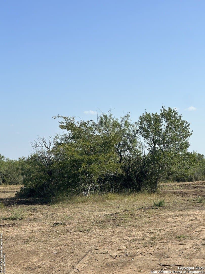 5.63 acres in Wilson County - photo 6