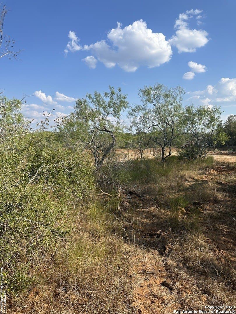 5.63 acres in Wilson County - photo 13