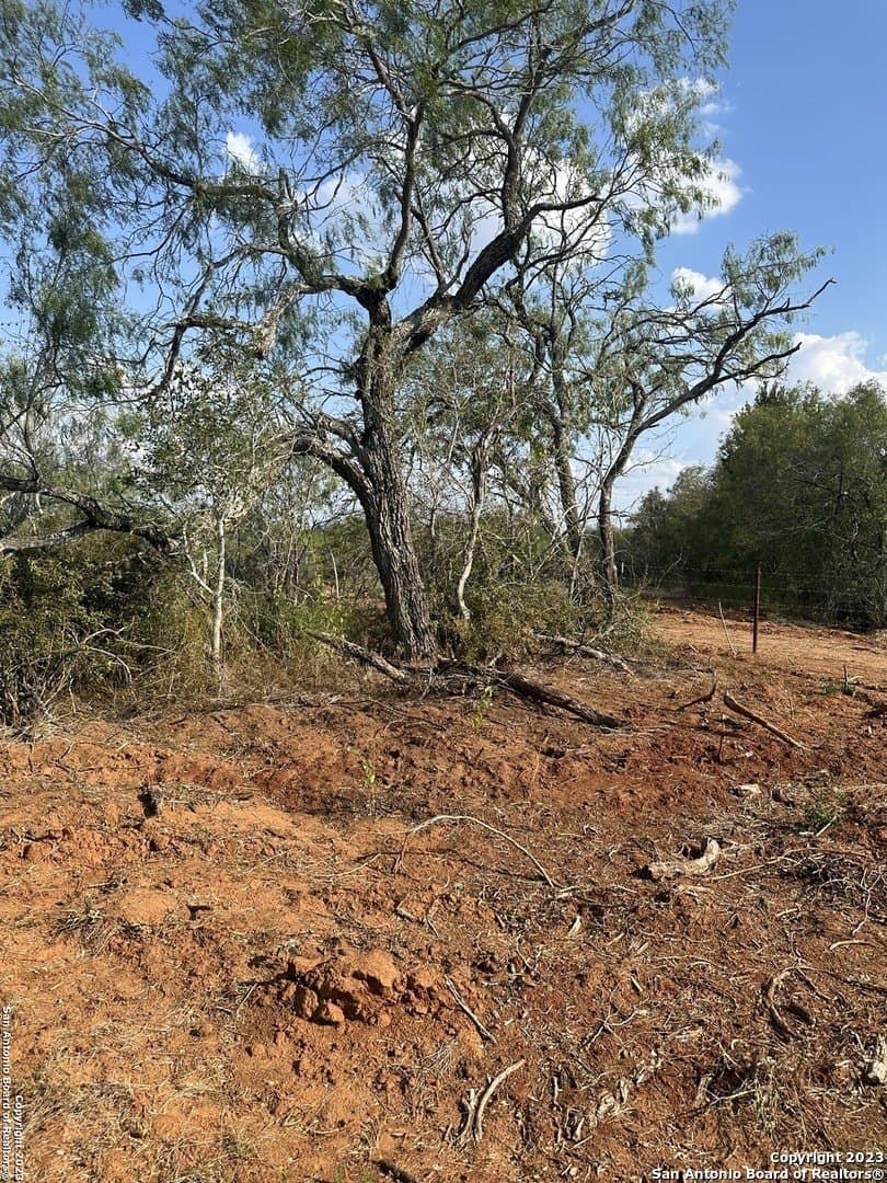 5.63 acres in Wilson County - photo 12