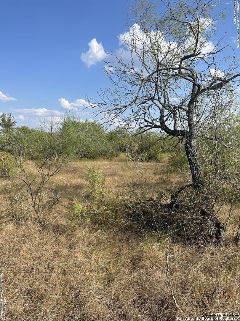 5.63 acres in Wilson County - photo 10