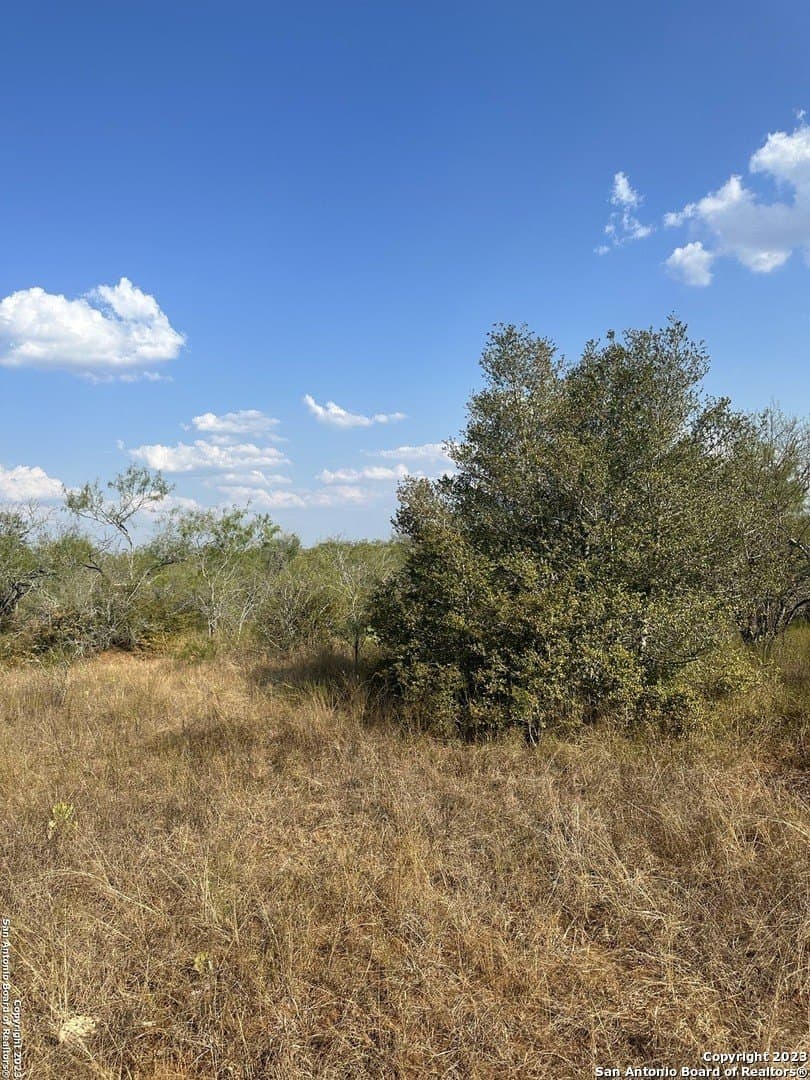 5.63 acres in Wilson County - photo 14