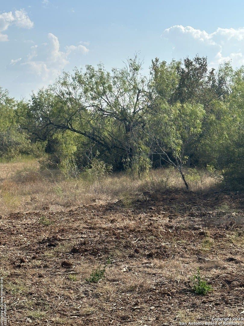 5.63 acres in Wilson County - photo 9