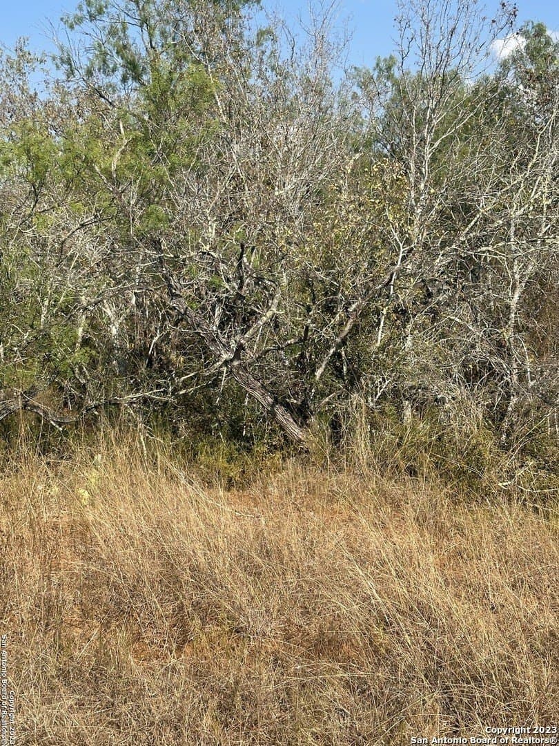 5.63 acres in Wilson County - photo 16