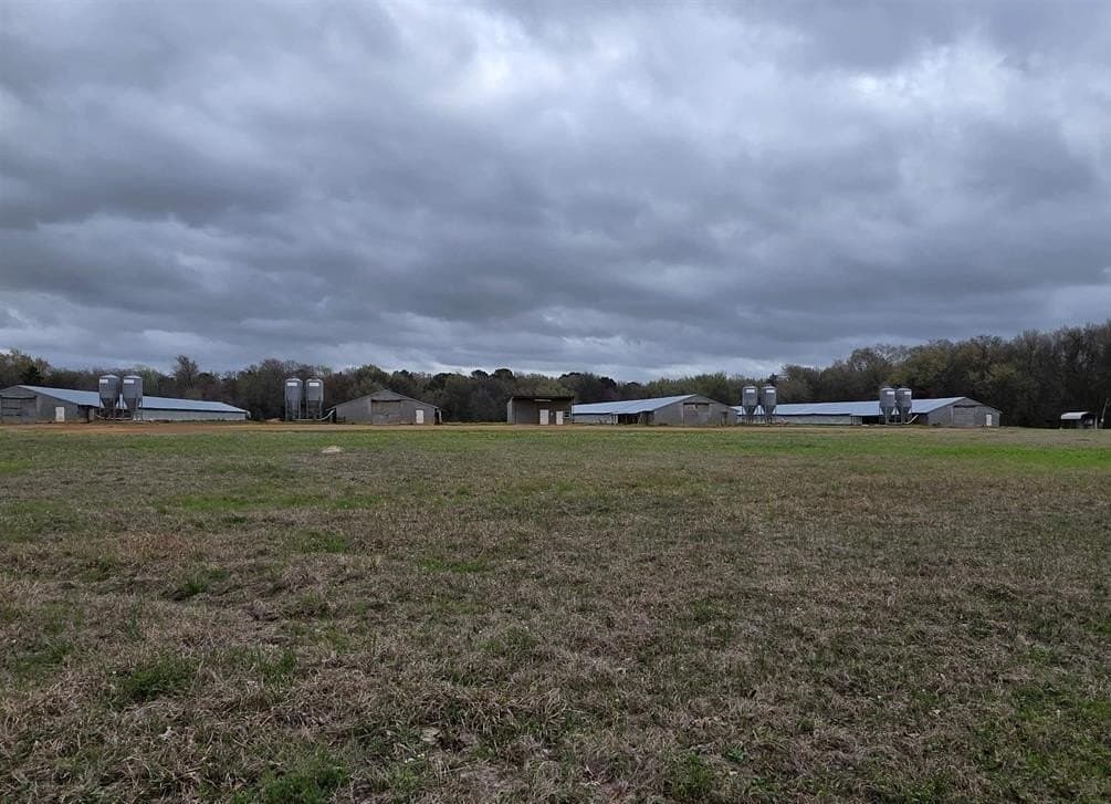 161.4 acres in Upshur County - photo 17
