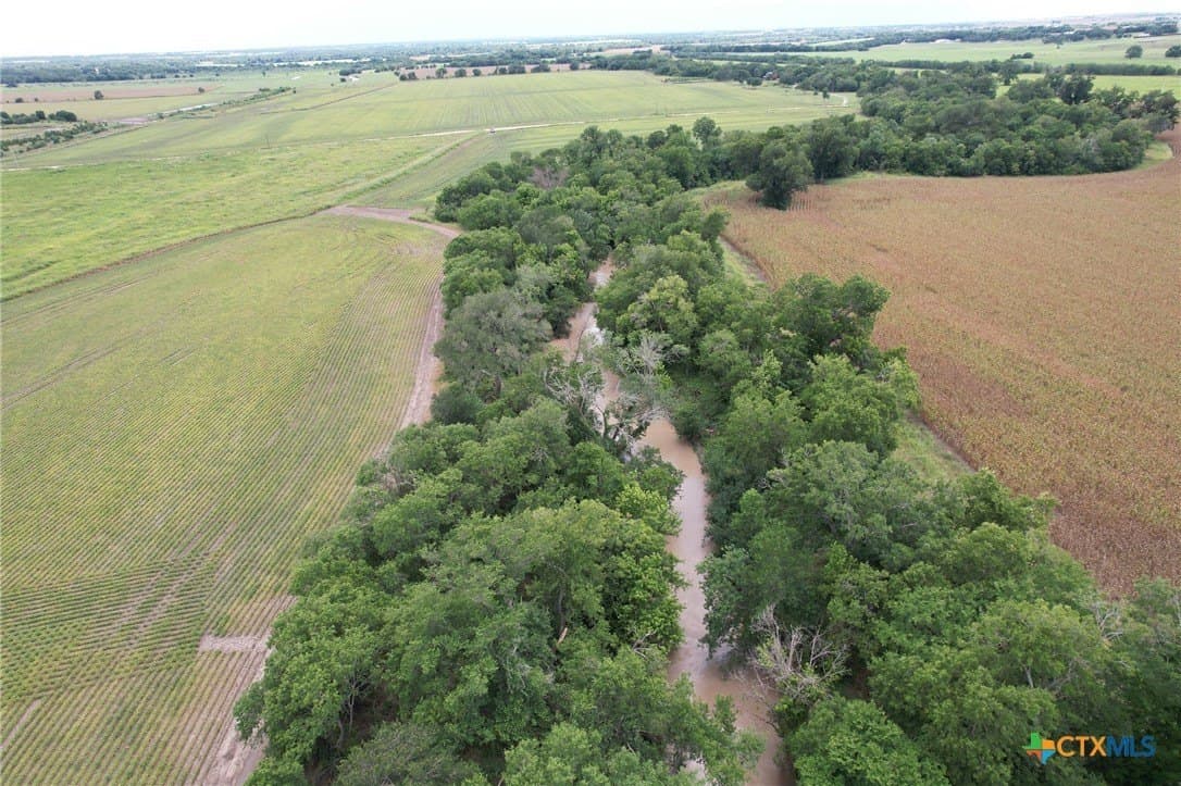 51.16 acres in Milam County - photo 6