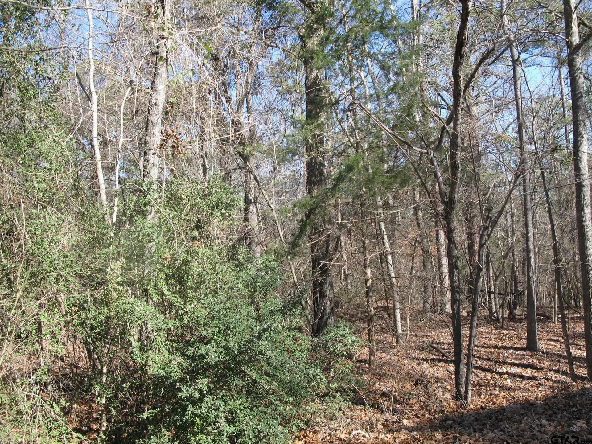 to be determine County Rd 2337