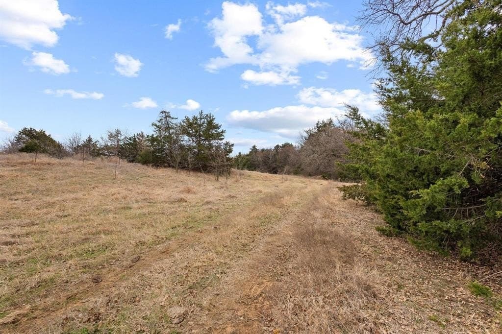 20 acres in Grayson County - photo 21