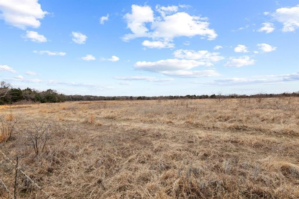 20 acres in Grayson County - photo 17