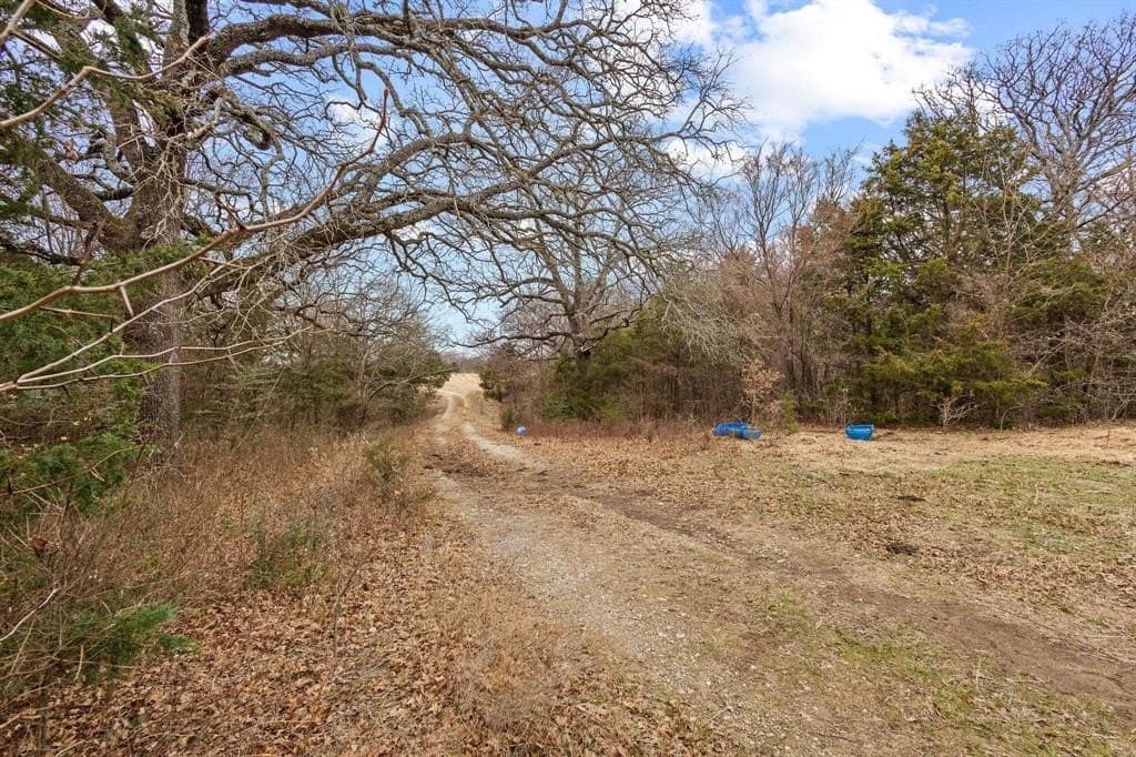 20 acres in Grayson County - photo 5