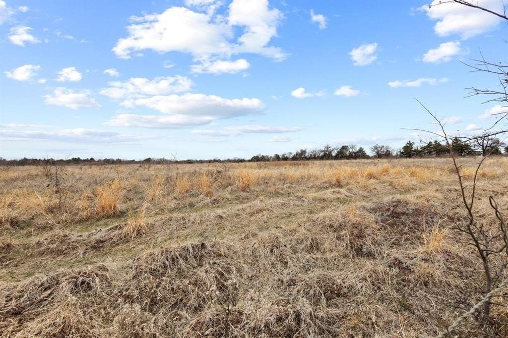 20 acres in Grayson County - photo 16