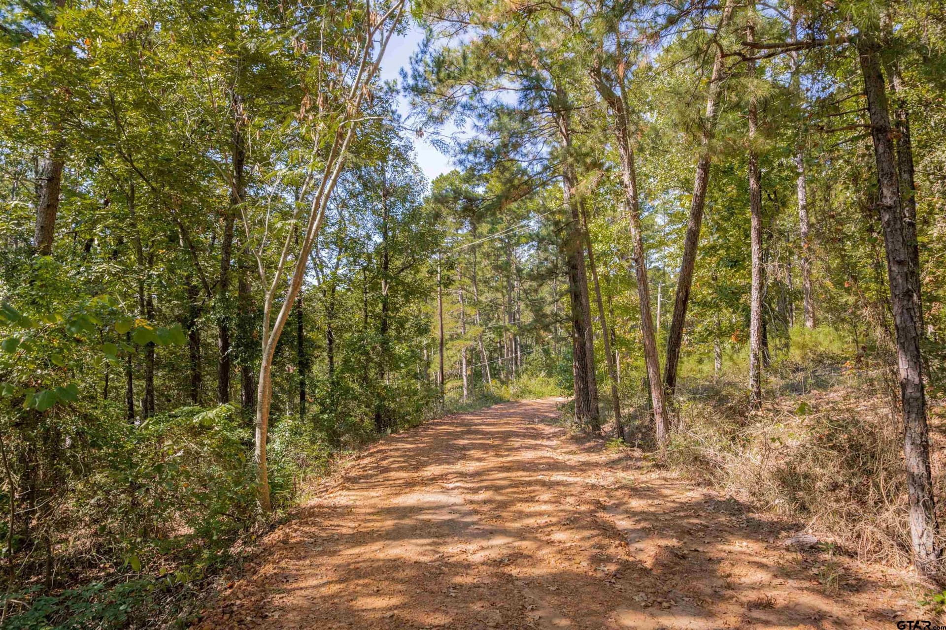 10 acres in Cass County - photo 30