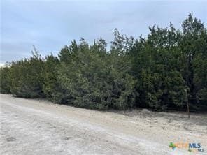 14.69 acres in Coryell County - photo 13