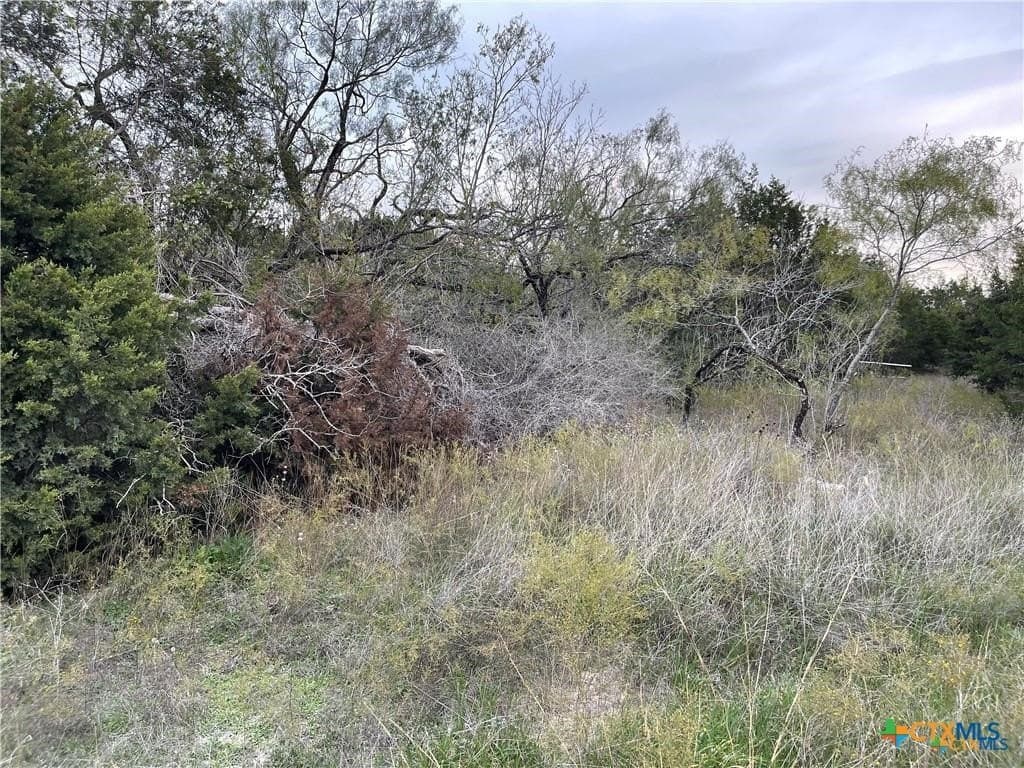 14.69 acres in Coryell County - photo 10