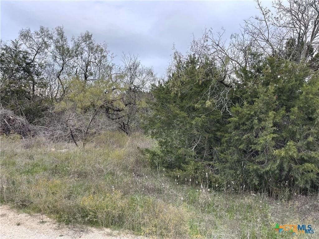 14.69 acres in Coryell County - photo 9