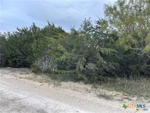 14.69 acres in Coryell County - photo 14