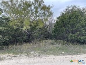 14.69 acres in Coryell County - photo 16