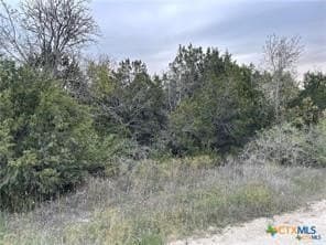 14.69 acres in Coryell County - photo 15