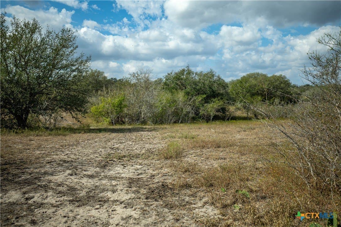 50 acres in DeWitt County - photo 23