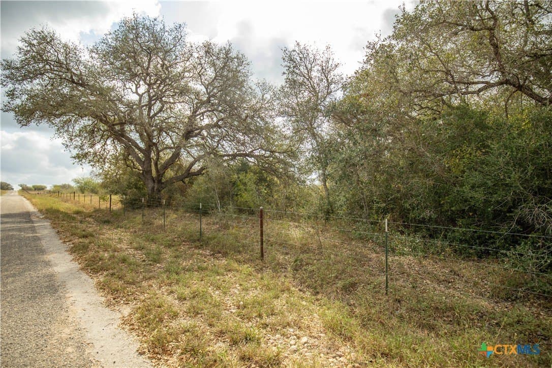 50 acres in DeWitt County - photo 17