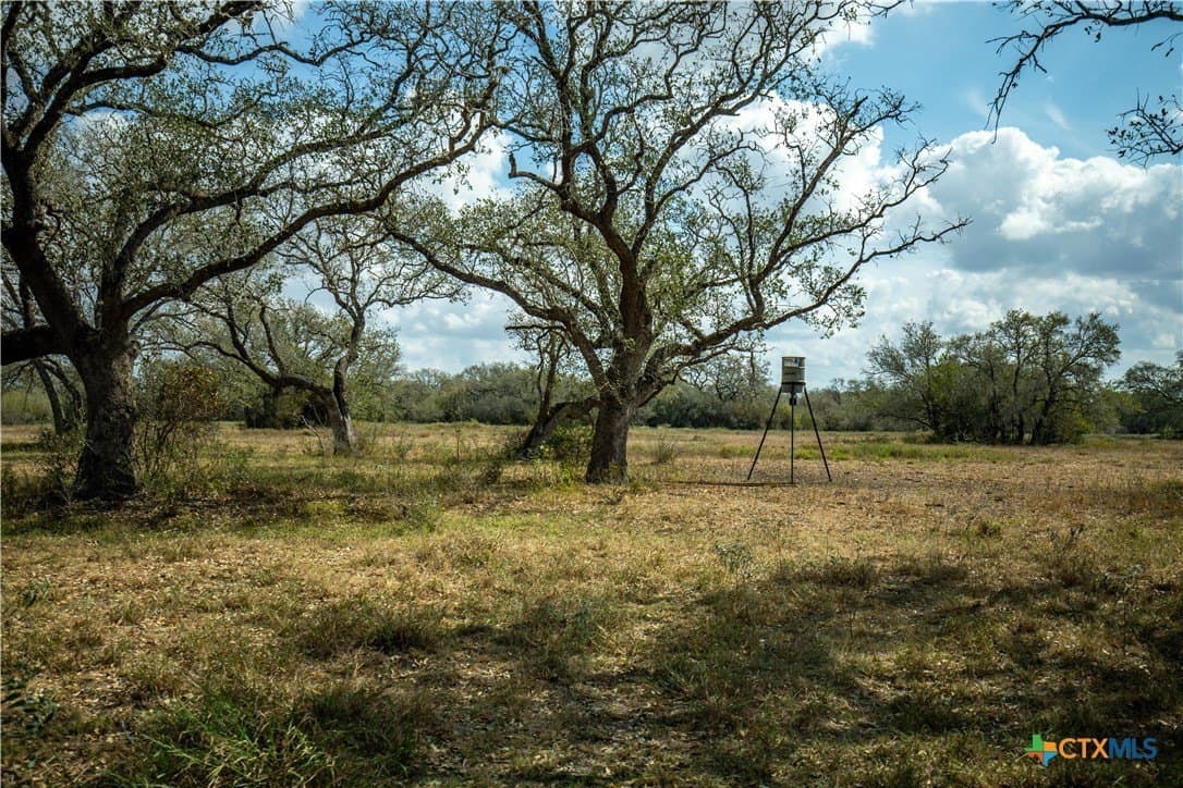 50 acres in DeWitt County - photo 13