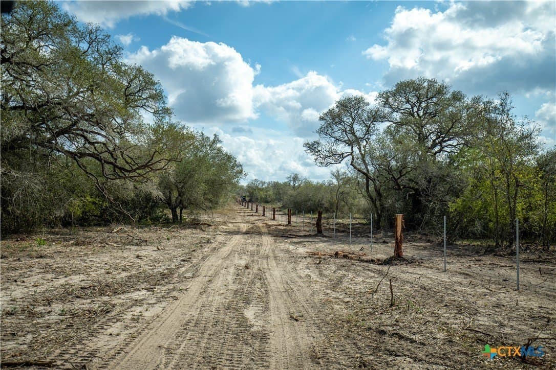 50 acres in DeWitt County - photo 22