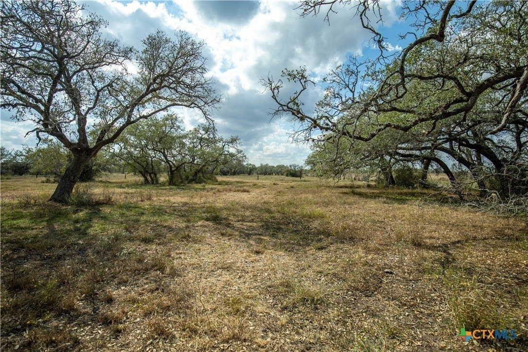 50 acres in DeWitt County - photo 15