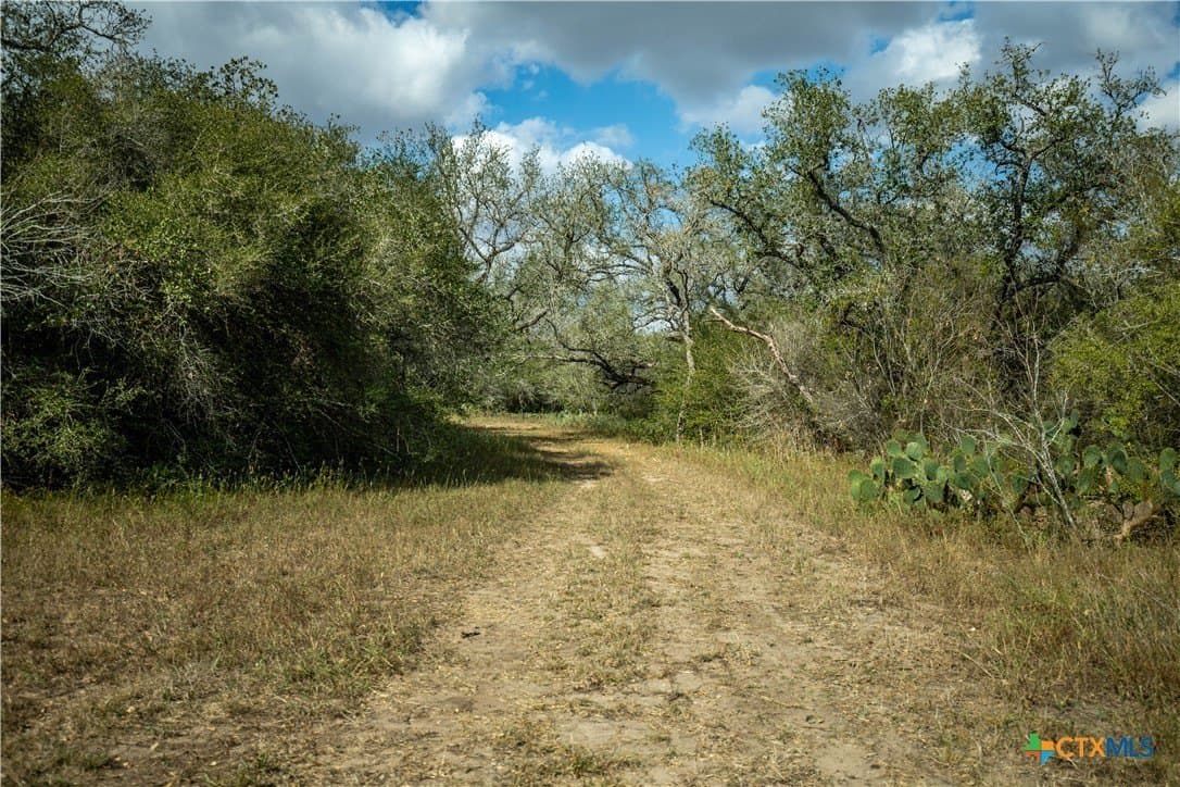50 acres in DeWitt County - photo 21