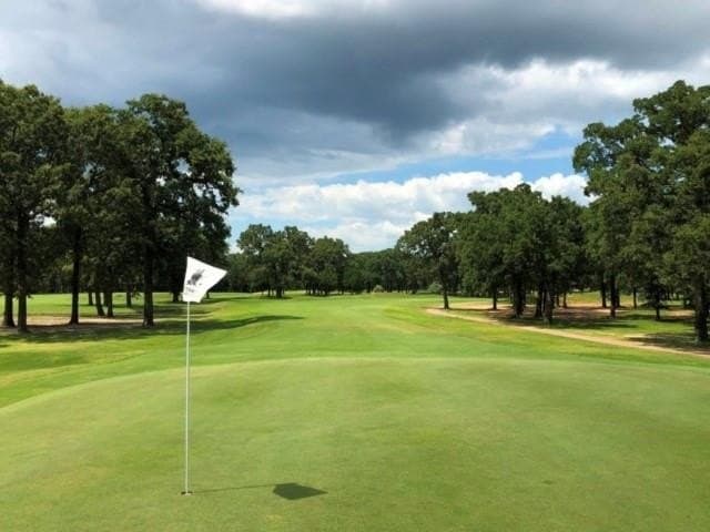 0.26 acres in Henderson County - photo 18