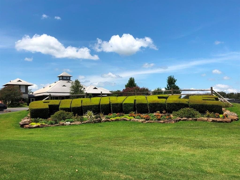 0.26 acres in Henderson County - photo 10