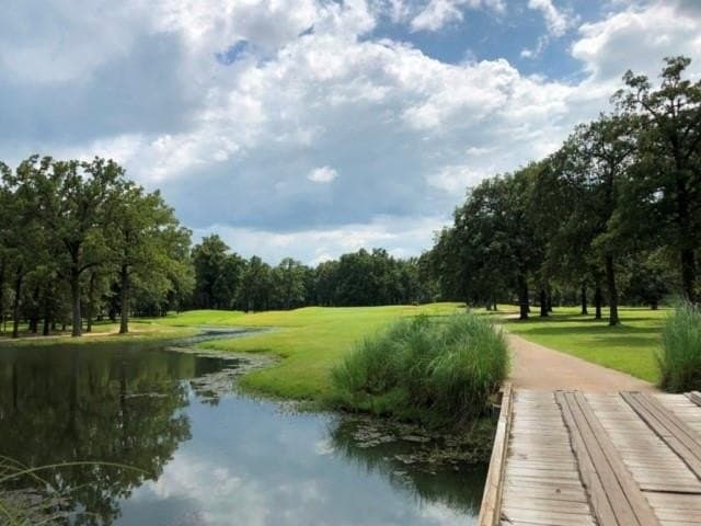 0.26 acres in Henderson County - photo 17