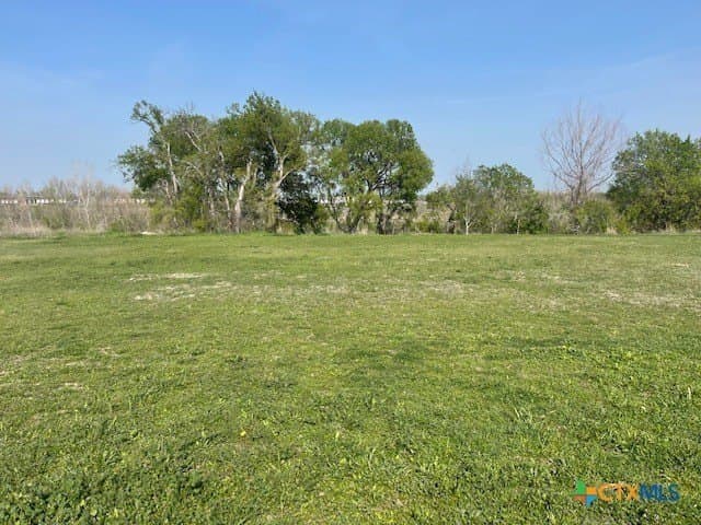 Paso Fino Street lot: 1