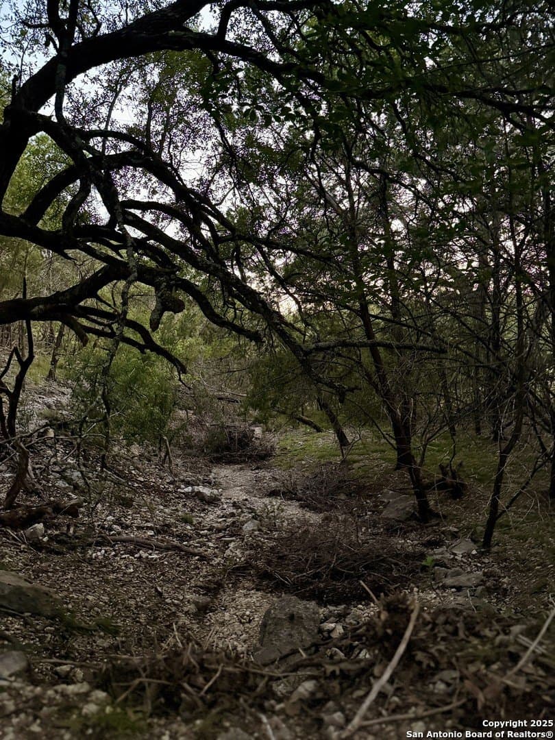 2 acres in Comal County - photo 7