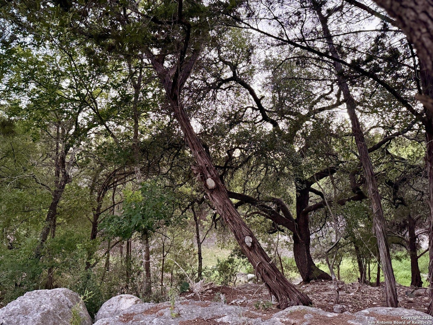 2 acres in Comal County - photo 2