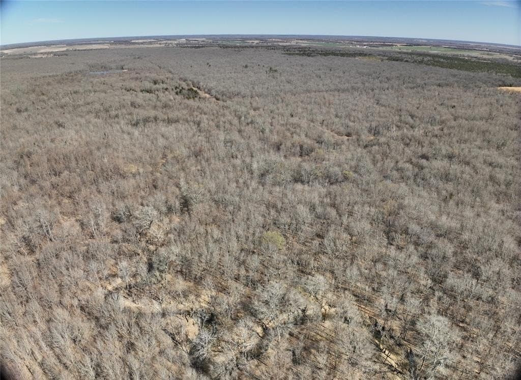 152 acres in Red River County - photo 15