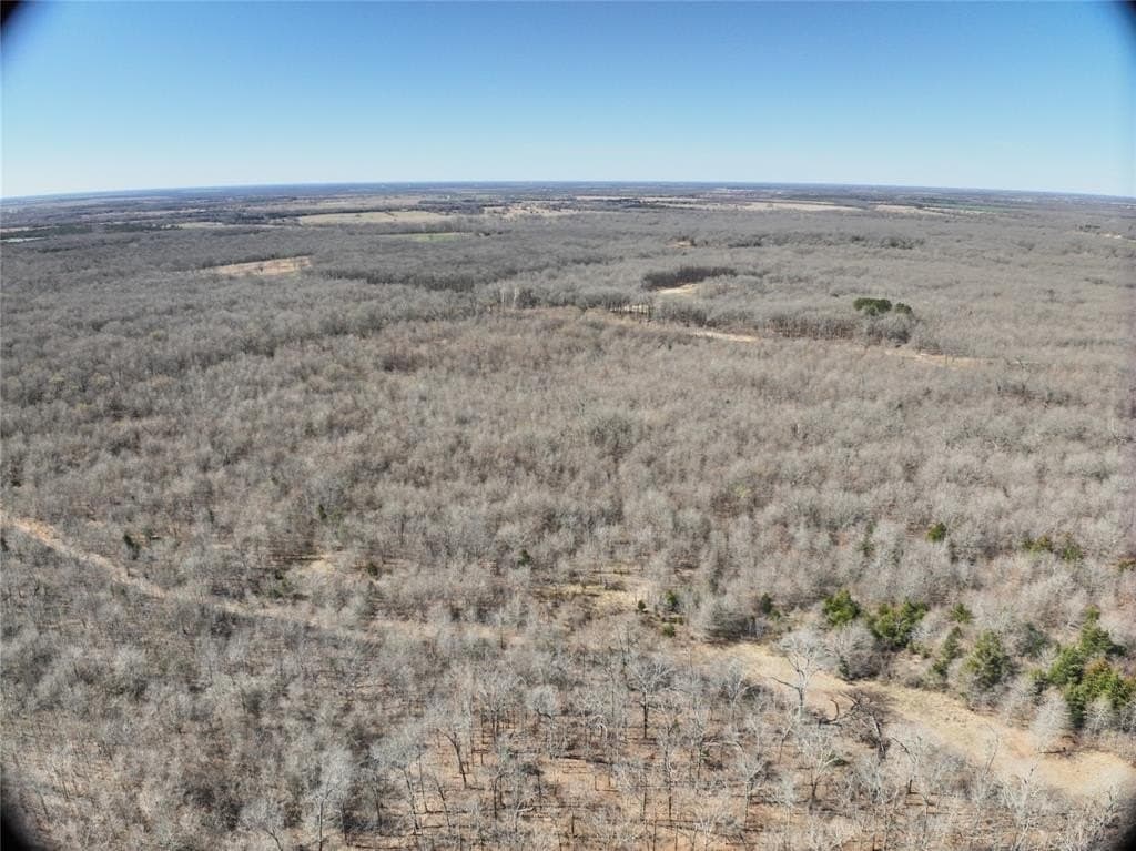 152 acres in Red River County - photo 5