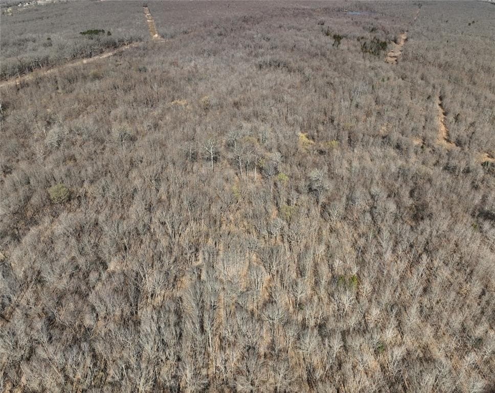 152 acres in Red River County - photo 18